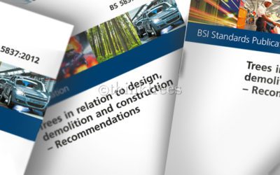 BS 5837:2012 – A Revised Standard for Trees and Construction