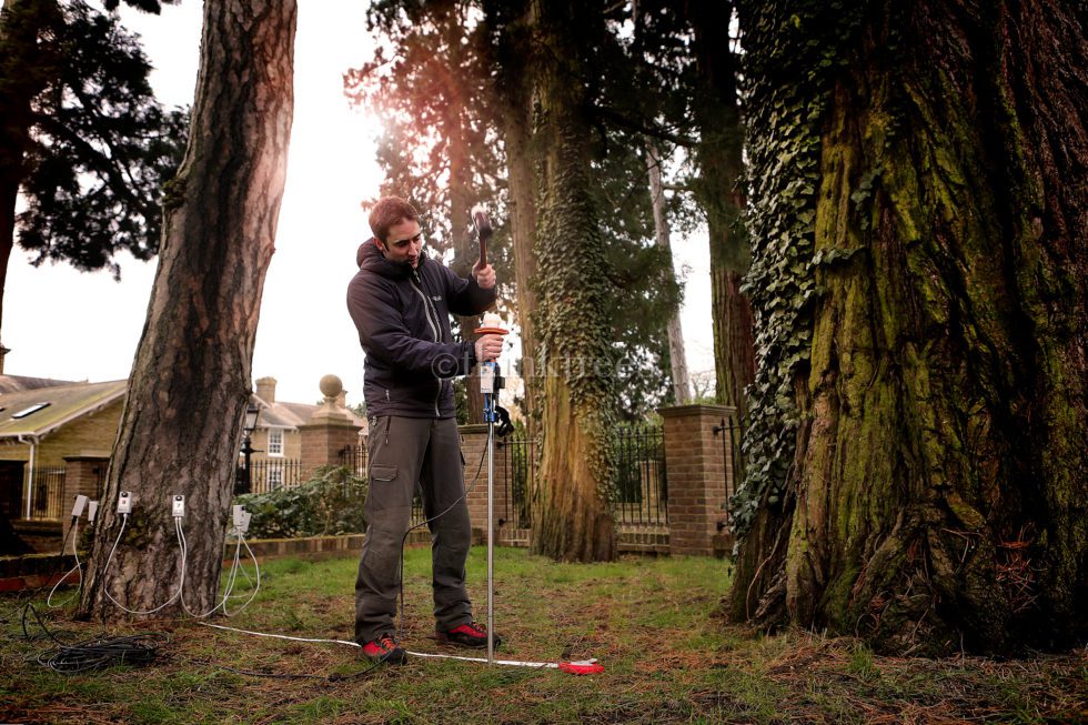 Our latest piece of equipment for detailed tree decay detection, the